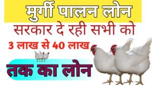 Poultry Farm Yojana 2024 : पोल्ट्री फार्म खोलने के लिए सरकार दे रही है 3 लाख से 40 लाख तक का लोन, यहाँ देखे पूरी जानकारी! - PMSuraj.com